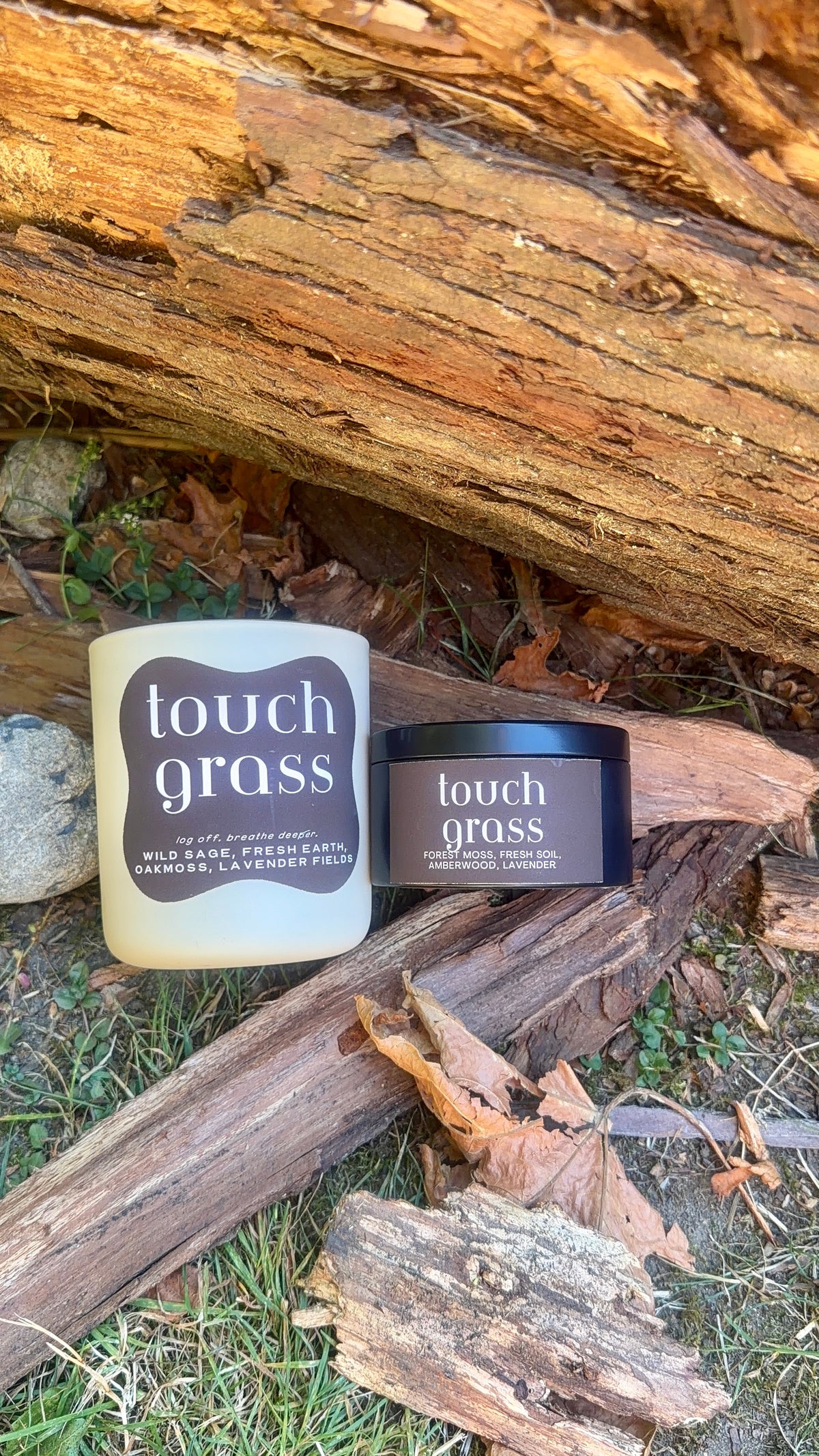 Sage Moss Coconut Soy Candle | Touch Grass