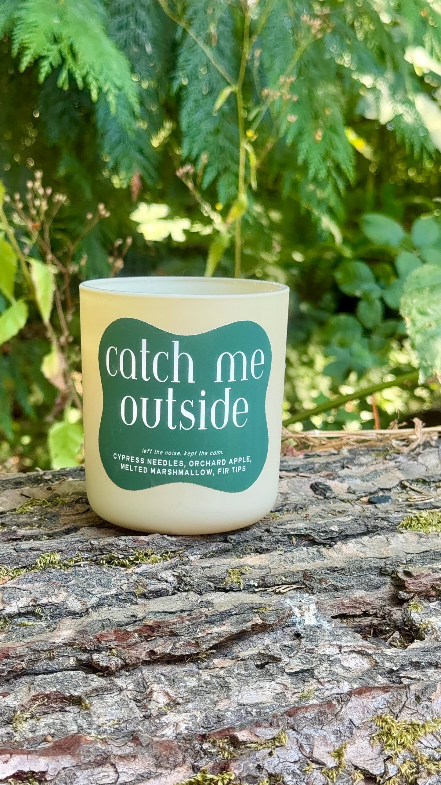 Evergreen Marshmallow Coconut Soy Candle | Catch Me Outside