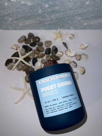 PUGET SOUND WAVES - Friday | Marine | Fresh