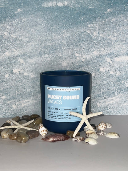 PUGET SOUND WAVES - Friday | Marine | Fresh